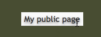 netvibes13