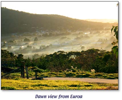 Dawn view from Euroa